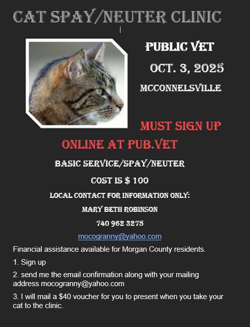 Humane Society Free Voucher For Spay And Neuter Animal Shelter Cat